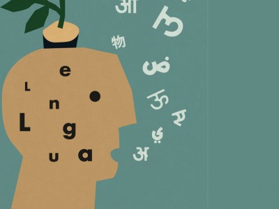 Taller 'Les llengües de la meva vida'