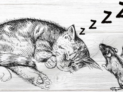 'Quan el gat dorm, les rates ballen'