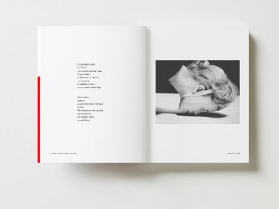 Presentació del llibre de fotopoesia Panoptik